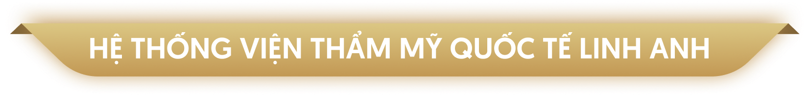 Hệ thống chi nhánh